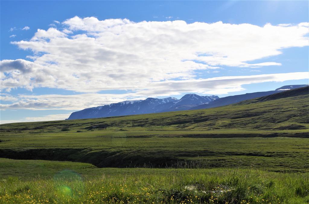 Sireksstadir Farm Holiday Vopnafjorthur Екстер'єр фото